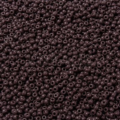 MIYUKI Round Rocailles Beads X-SEED-G008-RR0497-1