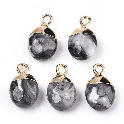 Natural Map Stone/Picasso Stone/Picasso Jasper Charms G-N326-58B-1