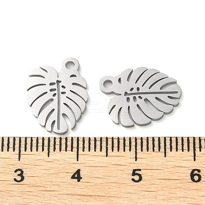 Non-Tarnish 304 Stainless Steel Charms STAS-Q303-12P-1