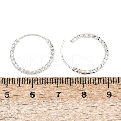 Brass Textured Hoop Earrings EJEW-F378-03C-S-1