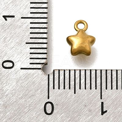 304 Stainless Steel Charms LS-STAS-D310-06G-05-1