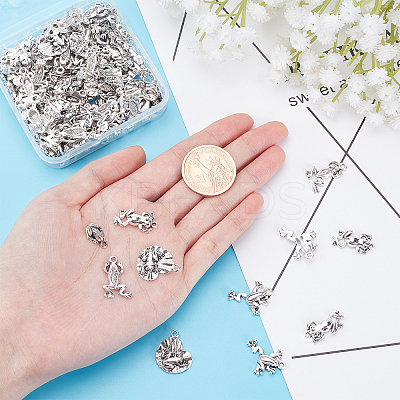 108Pcs 6 Style Tibetan Style Alloy Frog Charms TIBEP-SC0001-90-1
