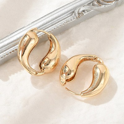 Brass Hoop Earrings for Women EJEW-U041-09G-1