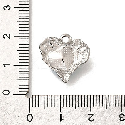 304 Stainless Steel Pendants STAS-Q346-05P-05-1