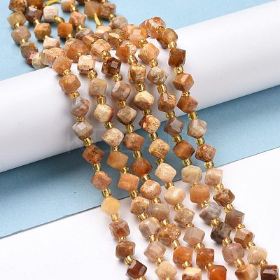 Natural Fossil Coral Beads Strands G-P463-48-1