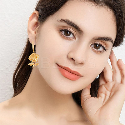 30Pcs 304 Stainless Steel Leverback Earring Findings STAS-BBC0009-23-1