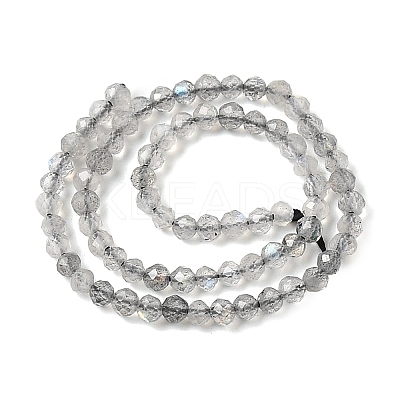 Natural Labradorite Beads Strands G-H336-A08-02-1