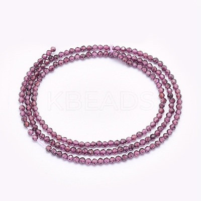 Natural Garnet Beads Strands G-O166-13A-2mm-1