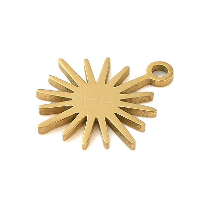 304 Stainless Steel Charms LS-STAS-S123-01G-04-1
