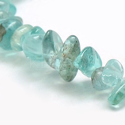 Natural Apatite Chip Beads Strands X-G-L154-23-1