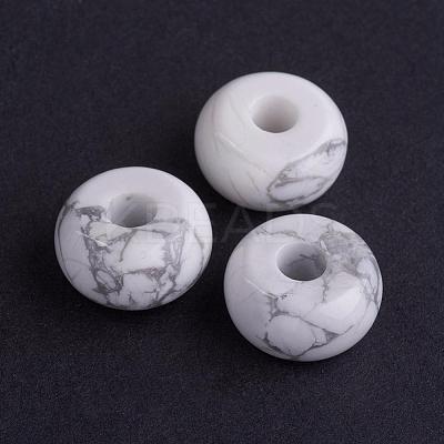 Natural Howlite European Beads G-K216-02H-1