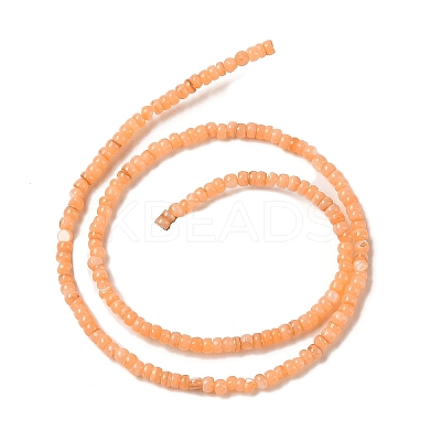 Natural Freshwater Shell Beads Strands SHEL-P017-01B-05-1