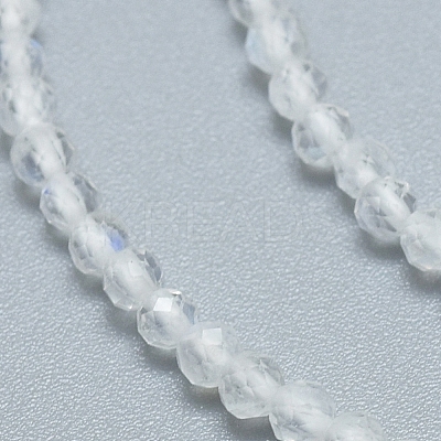 Natural Rainbow Moonstone Beads Strands G-D0003-E91-3MM-1
