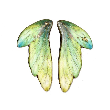 2Pcs Transparent Epoxy Resin Pendants RESI-A044-05A-1