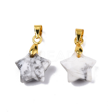 Natural Howlite Charms G-N326-142-10-1