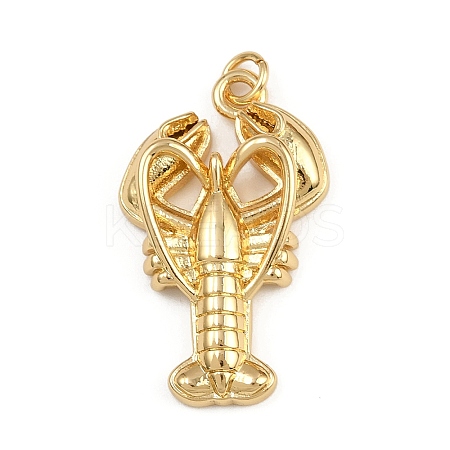 Brass Pendants KK-C116-01C-G-1