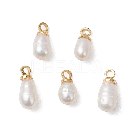 Natural Cultured Freshwater Pearl Rice Charms PALLOY-JF04868-1