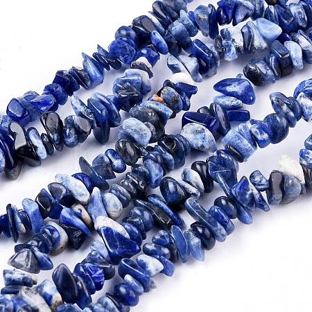 Natural Sodalite Chips Beads Strands X-F024-1