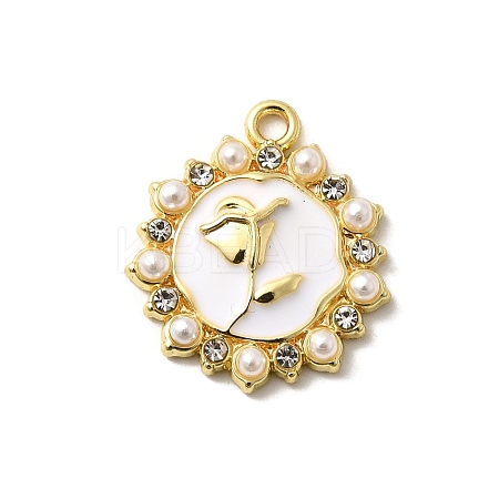 Alloy Pendants FIND-H015-04G-02-1