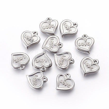 304 Stainless Steel Charms LS-STAS-P228-01-1