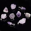 Natural Amethyst Pendants FIND-NB0003-57-4