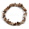 Unisex Chip Natural Picture Jasper Beaded Stretch Bracelets BJEW-S143-29-2