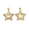 Brass Micro Pave Clear Cubic Zirconia Pendants ZIRC-F135-20G-1
