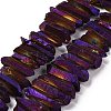 Natural Quartz Crystal Points Beads Strands G-K181-B18-1