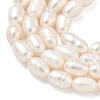 Natural Cultured Freshwater Pearl Beads Strands PEAR-D003-01D-14-4