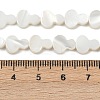 Natural Freshwater Shell Beads Strands SHEL-K010-02A-4