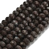 Natural Coffee Jasper Beads Strands G-Z111-A52-3