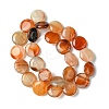 Flat Round Gemstone Natural Red Agate Stone Beads Strands G-S110-03-4