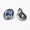 Natural Abalone Shell/Paua ShellOval Clip-on Earrings EJEW-P122-01-2