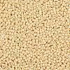 MIYUKI Round Rocailles Beads SEED-X0054-RR0493-2