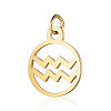 201 Stainless Steel Charms STAS-T036-T513-11-1