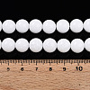 Baking Paint Opaque Glass Beads Strands GLAA-T032-P10mm-02-4