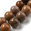 Natural Petrified Wood Round Bead Strands G-F266-08-12mm-2