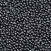 6/0 Glass Seed Beads X1-SEED-L011-08A-10-3