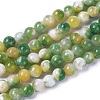 Natural Persian Jade Beads Strands G-E531-C-14-1