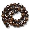 Natural Yellow Tiger Iron Beads Strands G-C079-A03-03-3