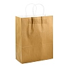 Pure Color Kraft Paper Bags AJEW-G020-D-06-3