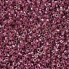 MIYUKI Delica Beads SEED-X0054-DB0283-3