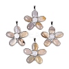 Natural Agate Big Pendants G-Q494-25P-02-1
