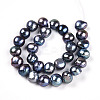 Natural Cultured Freshwater Pearl Beads Strands PEAR-N014-06G-06-2