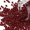 TOHO Round Seed Beads SEED-JPTR08-0005D-1
