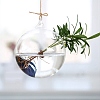 Hanging Glass Plants Planters PW-WG59220-03-1