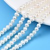 Natural Cultured Freshwater Pearl Beads Strands LS-PEAR-N013-04A-1
