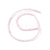 Natural Freshwater Shell Dyed Beads Strands SHEL-M018-12-09-2