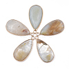 Natural Amazonite Pendants G-S344-51F-1