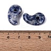 Natural Blue Spot Jasper Pendants G-S294-07B-14-3